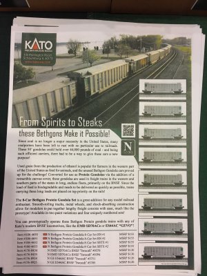 Vendor - Kato Protein Bethgons.JPG