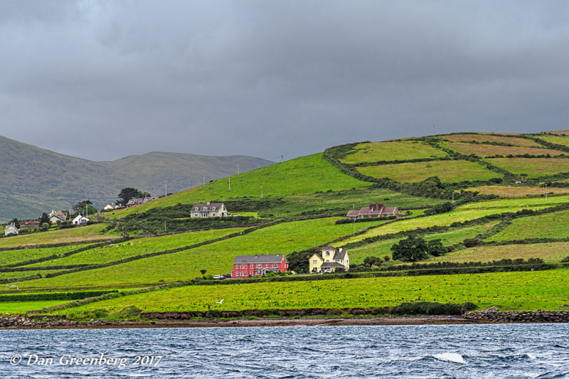 Farms Along the Shore