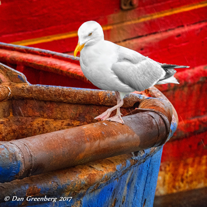 A Brief Rest on a Rusty Boat