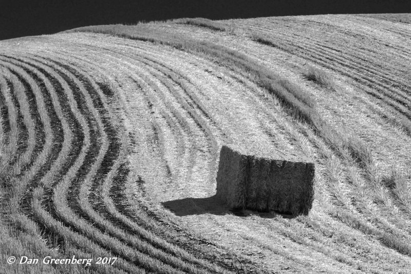 Single Bale of Hay