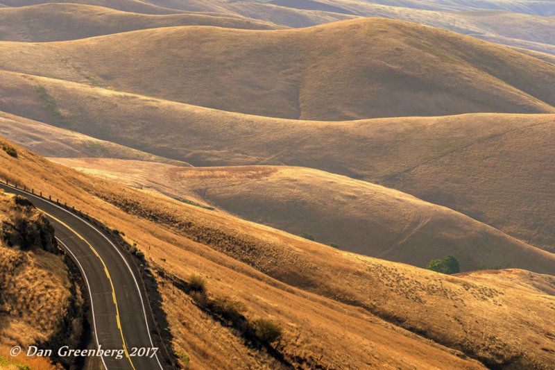 Velvet Covered Hills