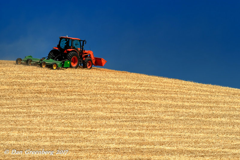 Red, Blue, Green and Gold