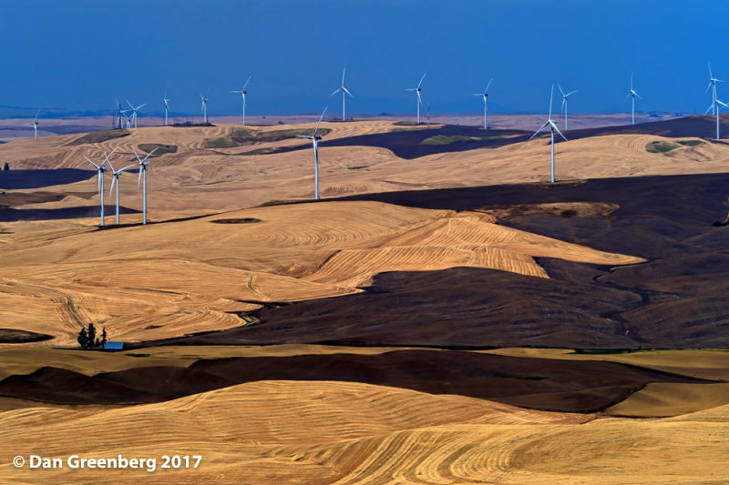 Wind Turbines and Wheat Fields Stylized