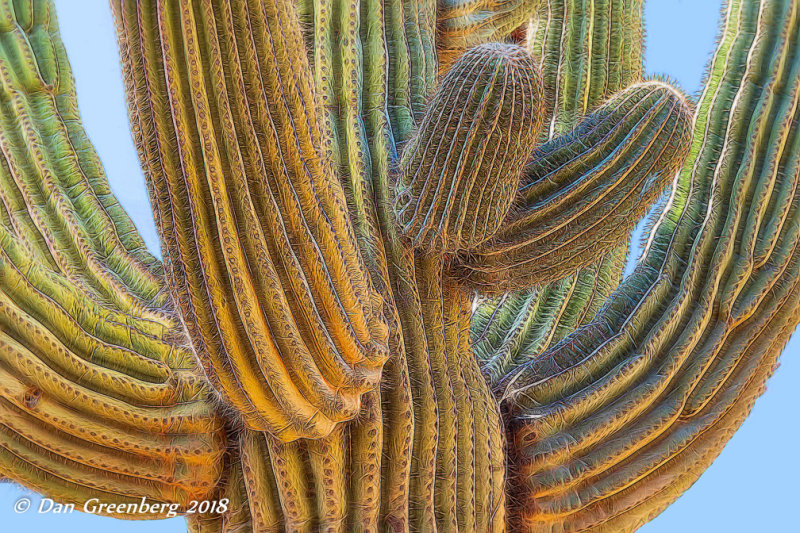 Saguaro Abstract
