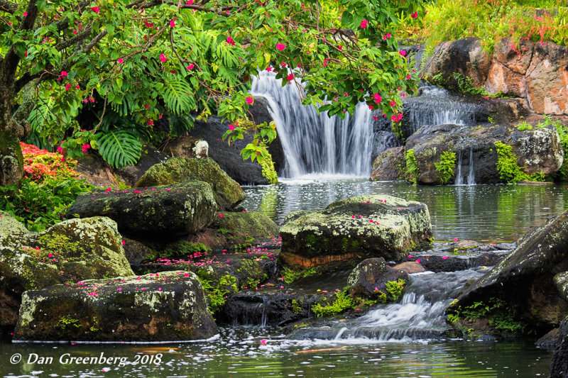 Hotel Waterfall