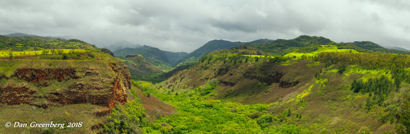 Hanapepe Valley Lookout