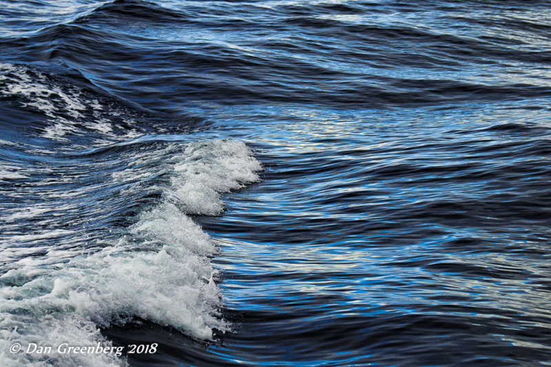 Patterns in the Boat's Wake