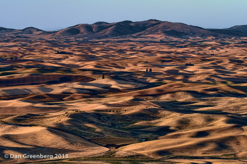 Hilly Farmland 