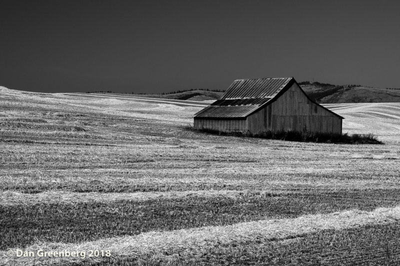 Isolated Barn