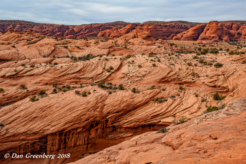 The Back Side of Hunt's Mesa