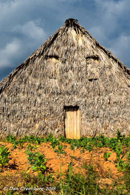 Tobacco Drying Shed