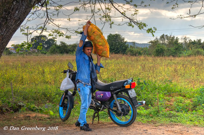 Delivering a Bag of Peppers