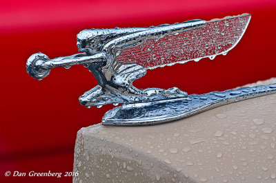 1939 Packard 120 in the Rain