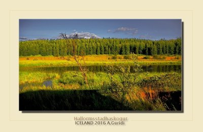 _DSC4898.jpg