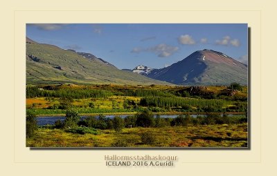_DSC4919.jpg