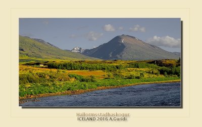 _DSC4921.jpg