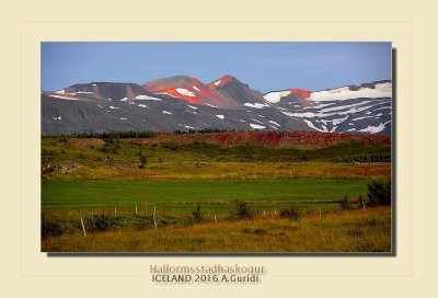 _DSC4896.jpg
