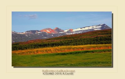 _DSC4887.jpg
