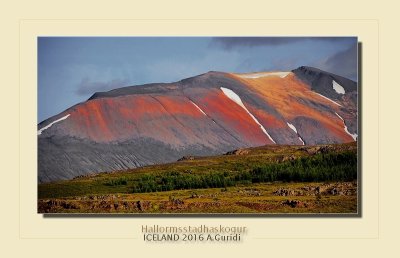 _DSC4890.jpg