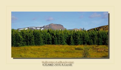 _DSC4900.jpg