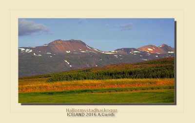 _DSC4885.jpg