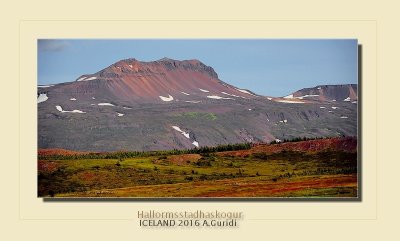 _DSC4893.jpg