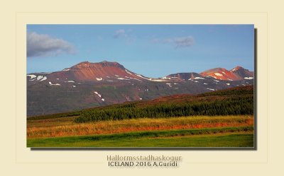 _DSC4886.jpg