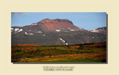 _DSC4894.jpg