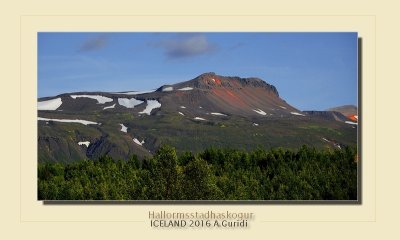 _DSC4901.jpg