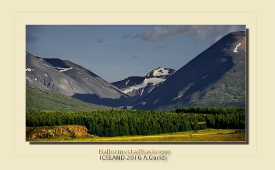 _DSC4916.jpg