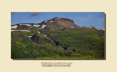 _DSC4911.jpg