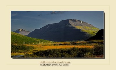 _DSC4929.jpg