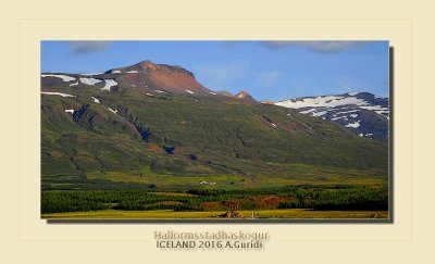 _DSC4912.jpg