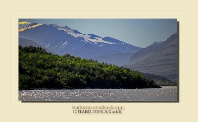 _DSC4694.jpg