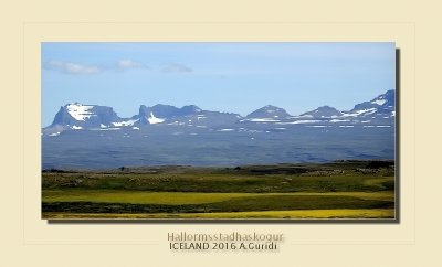 _DSC4618.jpg