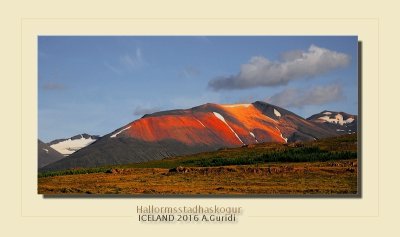 _DSC4891.jpg