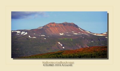 _DSC4884.jpg