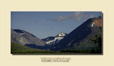 _DSC4915.jpg