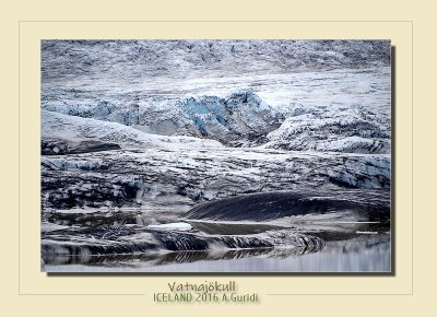 _DSC5488.jpg