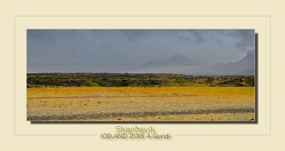 _DSC2511.jpg