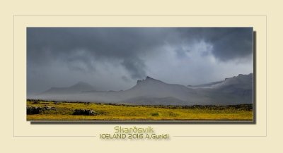 _DSC2510.jpg
