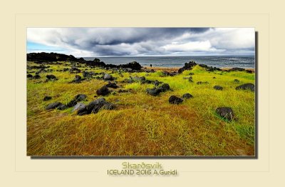 _DSC0722.jpg