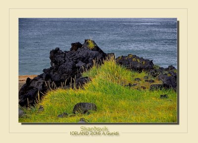 _DSC2569.jpg