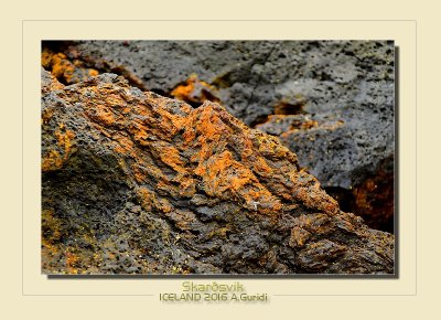 _DSC2560.jpg