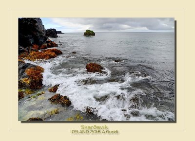 _DSC2550.jpg