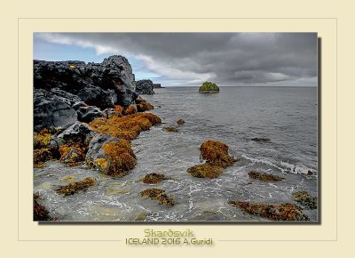 _DSC2549.jpg