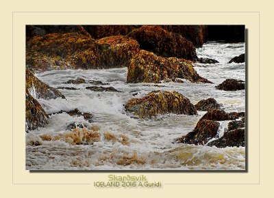 _DSC2527.jpg