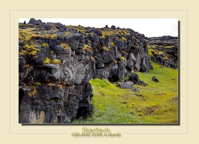 _DSC2515.jpg