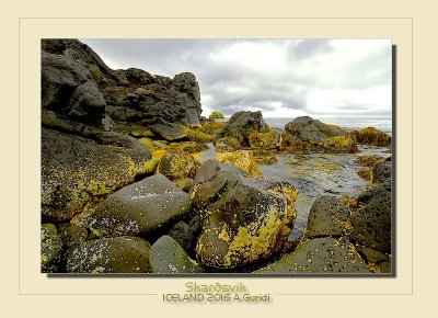 _DSC0694.jpg