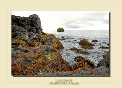 _DSC0690.jpg